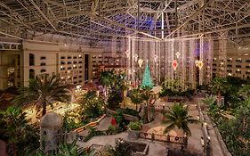 Gaylord Palms Resort Convention Center 4*